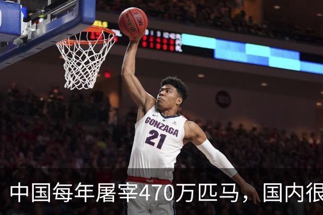 中国每年屠宰470万匹马，国内很少人吃，马肉都去哪了？