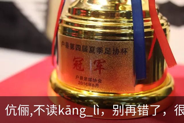 伉俪,不读kāng lì，别再错了，很丢人!