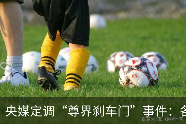 央媒定调“尊界刹车门”事件：各打五十大板，懂车帝危险了