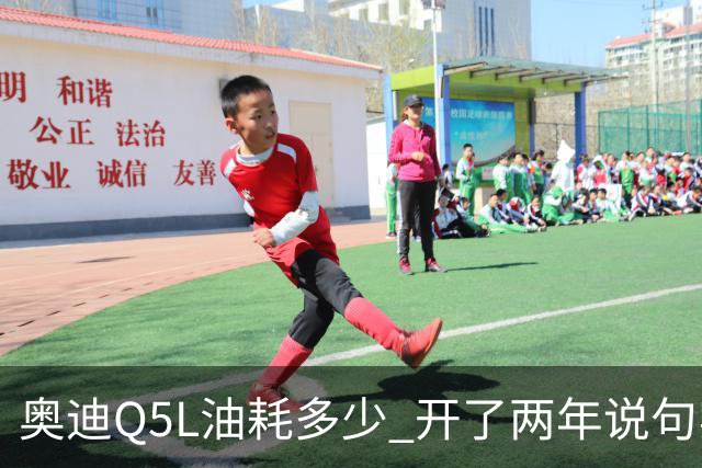 奥迪Q5L油耗多少 开了两年说句实话 家用到底香不香