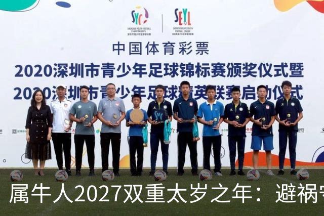属牛人2027双重太岁之年：避祸守福，实用完整指南