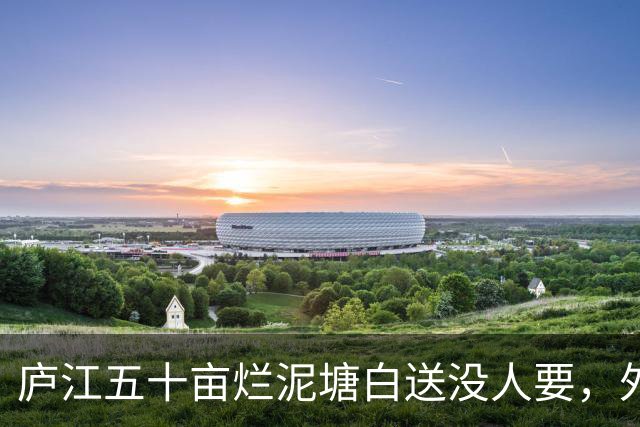 庐江五十亩烂泥塘白送没人要，外乡人租六年，藕卖完连夜走了