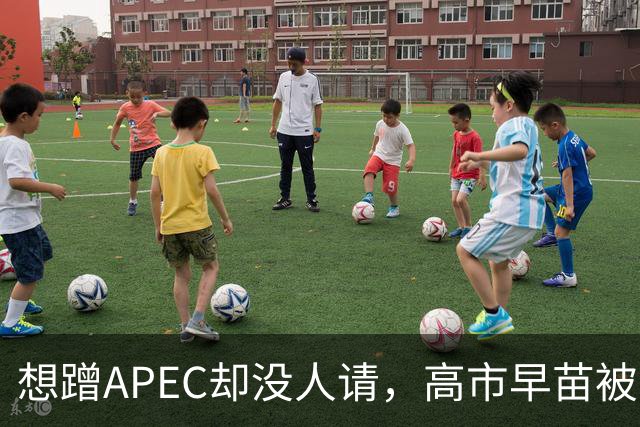想蹭APEC却没人请，高市早苗被晾一边，台阶找得太滑稽