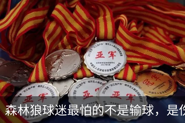 森林狼球迷最怕的不是输球，是伤病：一次投票投出了真心话