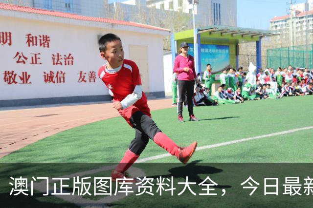 澳门正版图库资料大全，今日最新四九图库马会真传澳门跑狗四不像资料大全2026年新六合彩生肖码图
