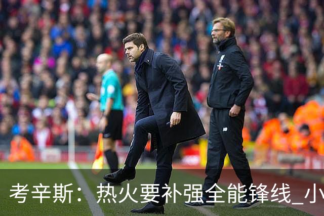 考辛斯：热火要补强全能锋线 小米切尔更适合防守尖兵定位