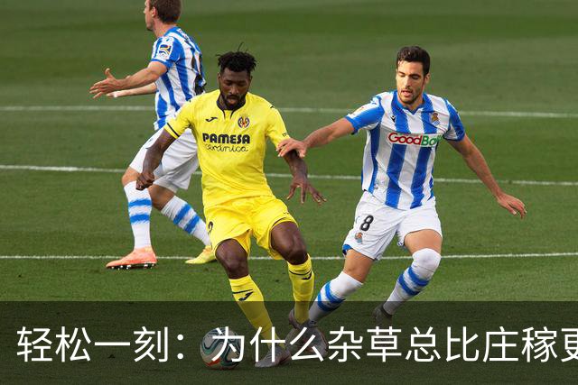 轻松一刻：为什么杂草总比庄稼更顽强？